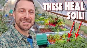 Video from Ben Buckner