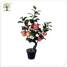 Check spelling or type a new query. Find Realistic Plastic Apple Tree Perfect For Decor Alibaba Com