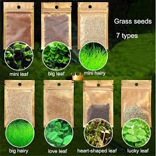 112m consumers helped this year. Benih Rumput Akuarium Aquarium Grass Seed 8gm Aquatic Plants Water Grass Biji Foreground Carpet Plant Shopee Malaysia