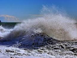 Everything you need to be ready to step out prepared. Stop All Aliscafo E Ad Altri Traghetti Per L Elba Attualita Portoferraio