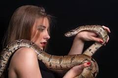 Image result