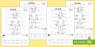 Look at the list below and write the names of the. Male Female Body Diagram With Labels Body Parts Worksheet