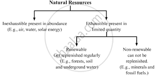 Prepare A Flow Chart Of Various Natural Resources Cbse