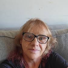 Hamster cage exploration issues with toys and treats