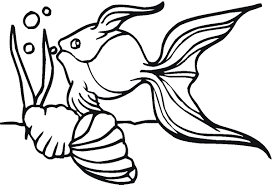 Ads and navigation do not appear when printed. Printable Goldfish Coloring Pages Coloringme Com