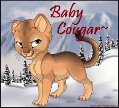 I am calling it kid cougar, which is the working title. Pin On Pta