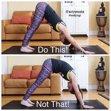 Do This Not That 5 Poses Everyone Does Wrong How To Fix Them Erin Motz Downward Dog Yoga Downward Dog Yoga Pose Downward Dog Pose