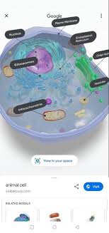 How to make a 3d animal cell model with home objects. How To Bring Google S 3d Animals Into Your Living Room Make Tech Easier