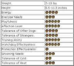 Akc Dog Breeds Chart Akc Dog Breeds Dog Breeds Chart