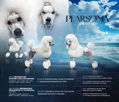 Image result for Pearsonia