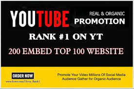 I Will Do Professional Organic Youtube Channel Promotion Social Media Marketing Content Promotional Video Digital Marketing Social Media
