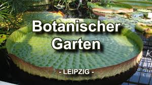 Botanischer Garten Leipzig Youtube