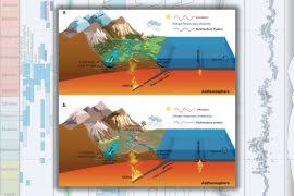 Image result for Pleioceras orientale