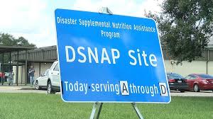 I applied last week and was told they would be here in 3 days and i have not received anything. Louisiana To Get Another Round Of Disaster Food Stamps