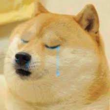 Dog crying tears at some point you may have looked down at. Doge Crying Blank Template Imgflip