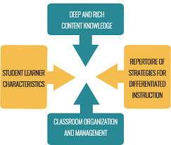 Differentiated Instruction Stetson Associates Inc