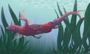 Personal: Chili Rasbora by dragonsintheattic -- Fur Affinity [dot] net