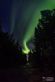 The Road In The Forest Dark Forest Forest Northern Lights