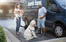 Prior to 1986, pam was juvenile officer in chester county for six years. Bark Bus Driver Finds His Passion Amongst The Pooches Little Rock Soiree Magazine
