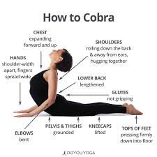 Your Guide To Cobra Pose What Are Your Favorite Cues For Bhujangasana Yoga Help Yoga Asanas Bikram Yoga