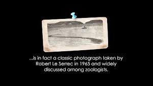 Check spelling or type a new query. Ø­ÙˆØ§Ø¯Ø« Ø¹Ø¬ÛŒØ¨