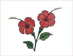 I am so proud to present you toda. 30 Gambar Sketsa Bunga Mudah Bunga Matahari Mawar Tulip Sakura Teratai Sepatu Melati Dll Seni Budayaku