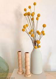 Pack Of 10 Dried Billy Buttons Craspedia In Natural Yellow In 2020 Dried Flower Arrangements Billy Buttons Dried Flowers