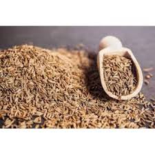 And a wagon wheel is not driven over cumin. Cumin 500g Jintan Putih 500g Shopee Malaysia