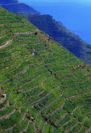 Geografia, giochi, quiz, mappe vuoto, geogames. Liguria Sapere It