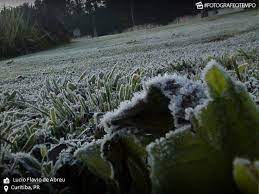 Camada de cristais de gelo que recobre a vegetação e os objetos expostos ao ar e que se forma devido a temperaturas negativas. Qual A Diferenca Entre Geada Branca E Geada Negra Noticias Climatempo