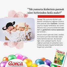 Gonca Dergisi Adli Kullanicinin Bilgi Panosundaki Pin Ikiz Tintin Sira