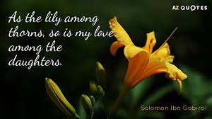 It was in times like this where i remembered how calming a deep breath was while i was human. Solomon Ibn Gabirol Quote As The Lily Among Thorns So Is My Love Among
