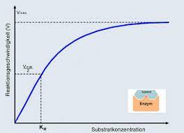 Der fotosynthese und der zellatmung [3, s. Einflussfaktoren In Der Enzymregulation