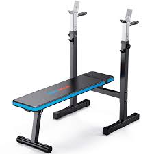 Winnow Adjustable Weight Bench With Dip Station Folding Heavy Duty Weight Lifting Bench Home Training Gym Multiuse Workout Bench Amazon Co Uk Sports Outdoors