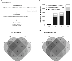 Proteomic Analysis Of Cholera Toxin Adjuvant Stimulated