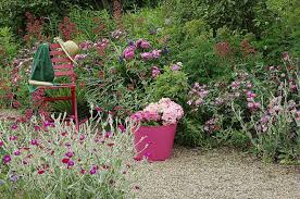 Coquelourde Et Valeriane Pour Le Printemps Fleurs Printemps Jardinage Jardins