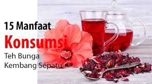 Jun 09, 2021 · baca juga: Teh Bunga Kembang Sepatu Meningkatkan Sistem Kekebalan Tubuh Saat Pandemi Jurnal Jateng Id