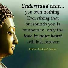 Your Source Is Your Divinity You Are Eternal Energy Buddha Quotes Inspirational Buddha Quote Inspirational Quotes Motivation