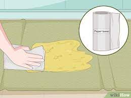 How To Clean Pet Vomit From Carpet (With Pictures) - Wikihow