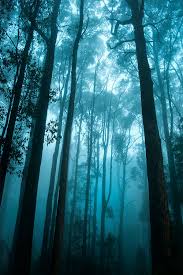The Dandenong Ranges In Fog By Jacqueline Barkla Beautiful Landscapes Nature Photography Scenery