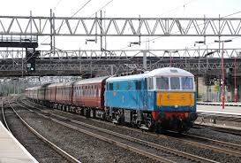 Image result for Grey 1986 Fleet