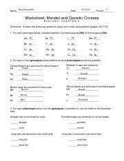 Because his work laid the foundation to the study of heredity, mendel is referred to as the father of genetics. Punnet Square Practice Sujan Korumilli 8 Name Date Period Worksheet Mendel And Genetic Crosses Biology Chapter 6 Directions Answer The Following Course Hero