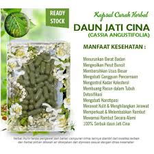 Sejak lama daun jati cina telah dimanfaatkan untuk mengurangi kelebihan lemak dalam tubuh, mengatasi obesitas, dan menyingkirkan kolesterol jahat. Daun Jati Harga Terbaik Kesehatan Agustus 2021 Shopee Indonesia