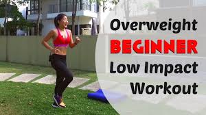 beginner low impact home workout