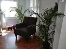 Image result