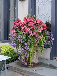 Wonderful Potted Flowers Decor Ideas That Will Amaze You The Art In Life Container Garden Design Container Gardening Flowers Container Plants