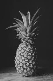 Black And White Still Life Photography Fruit Still Life Photograph Pineapple Hospitality Print Black And White Photography Hawaiian Black And White Photographs Fruit Photography Pineapple Photography