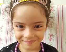 Fancy Nancy Crown,fancy Nancy Tiara,fancy Nancy Costume, Fancy Nancy  Halloween Costume Crown, Fancy Nancy Birthday Crown