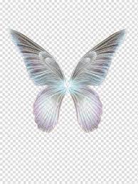 Faerie Wing S Gray And White Butterfly Wings Illustration Transparent Background Png Clipart Blue Butterfly Wings White Butterfly Butterfly Illustration