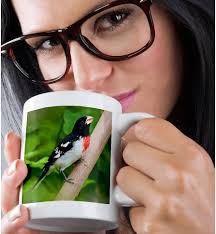 Amazon.com: 3dRose Danita Delimont